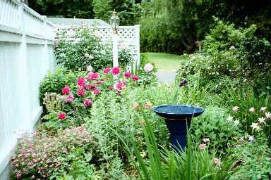 Our front garden in Oregon